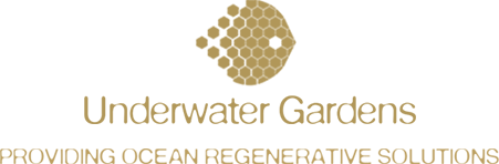 underwater gardens international_log_3 underwater gardens international_log_3